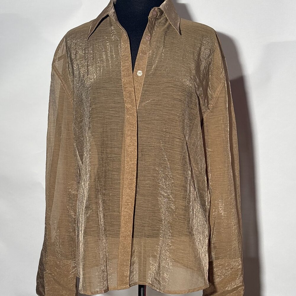 Sheer shirt